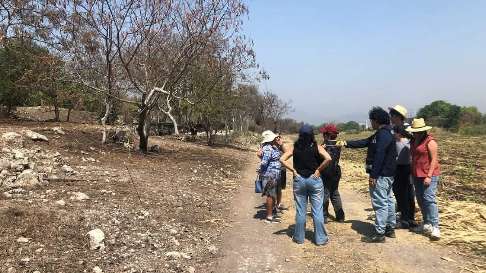 Mujeres cañeras (1)